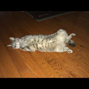 Meet your Posher, Giselle